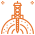 Orange 35
